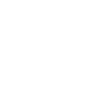fruit icon